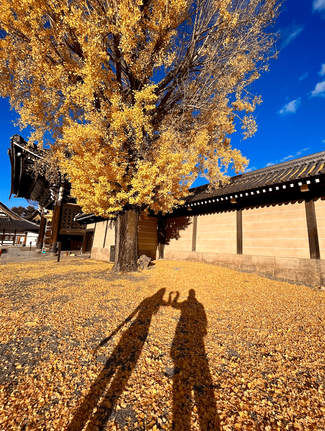 截圖 2022-12-24 下午10.10.17.png