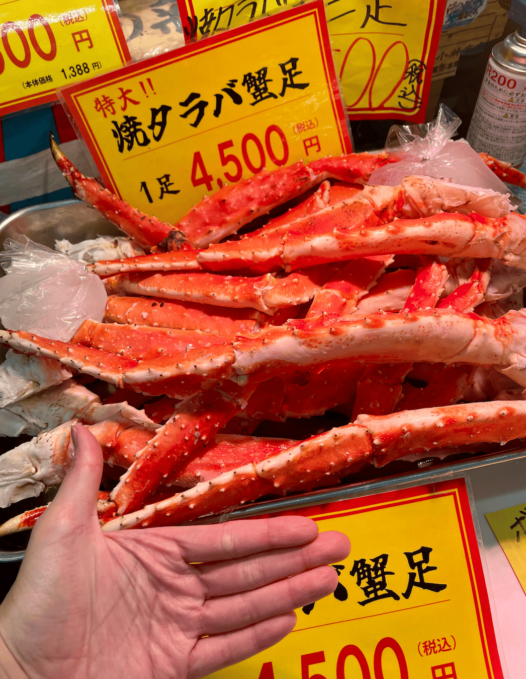 截圖 2022-12-24 下午10.12.03.png