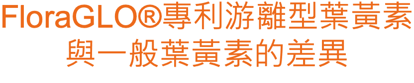 【好物分享】行走良方 │全品項92折折扣碼:y314│美好視 【好物分享】行走良方 │全品項92折折扣碼:y314│美好視