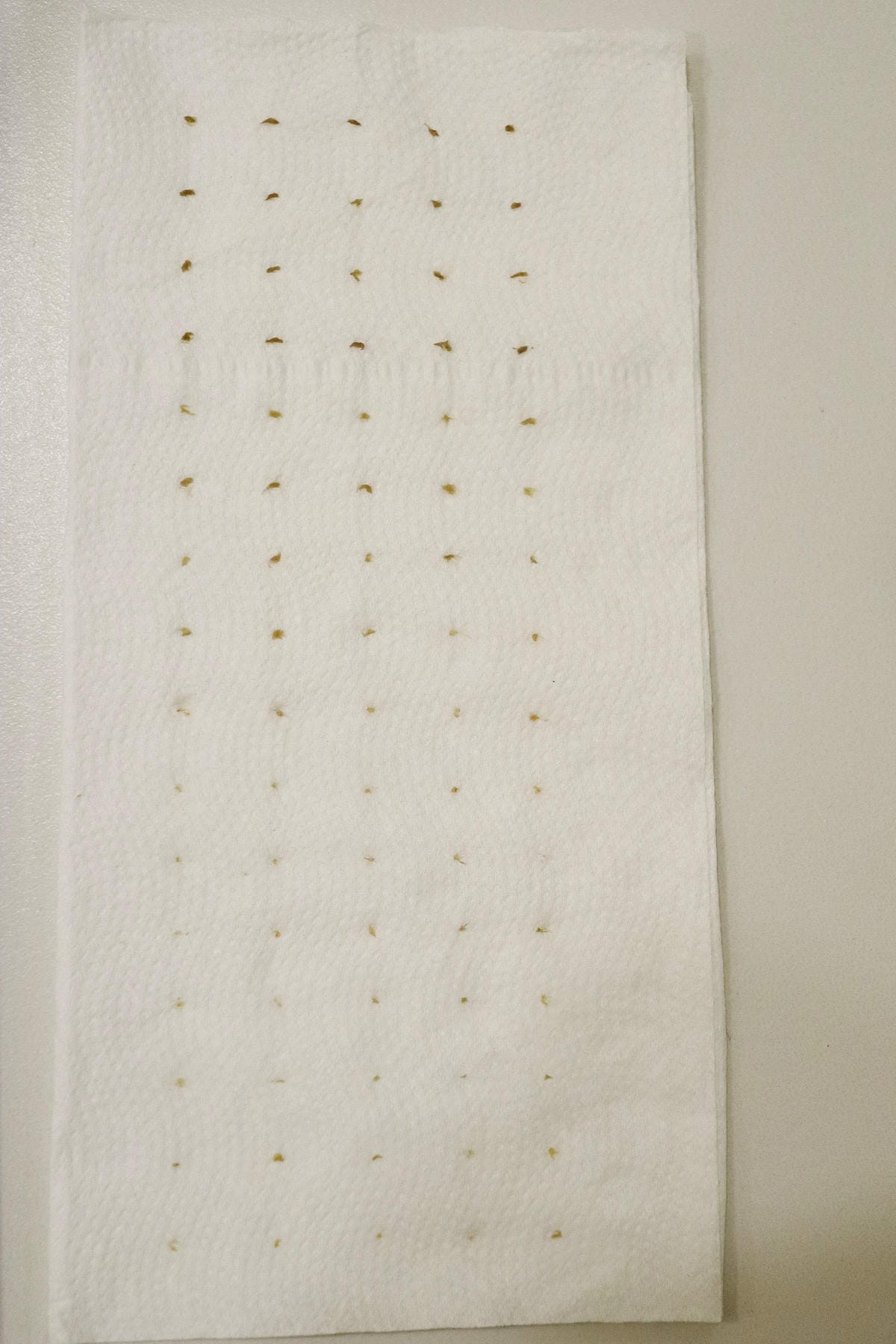 【新北板橋做臉】NINIS STUDIO 美肌館│問題肌膚改